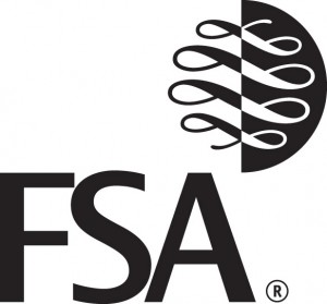 FSA: The Financial Capability Strategy